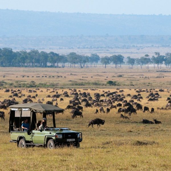 Nairobi National Park, Chyulu Hills & Masai Mara